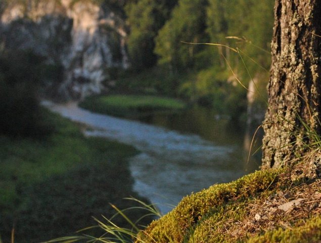 Осенний отдых на «Оленьих ручьях»: зачем ехать именно сейчас 🍂